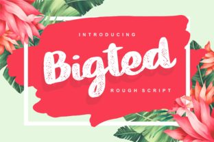Bigted: A Fun Script Font for Summer Branding