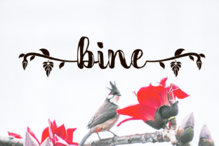 Bine Handwritten Font for Organic Digital Branding