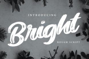 Bright Script Handwritten Font for Editorial Design