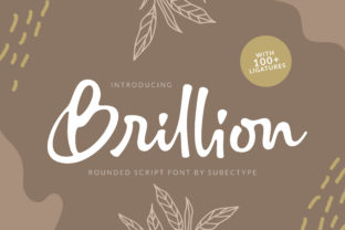 Brillion Script Font for Boutique Branding and Packaging