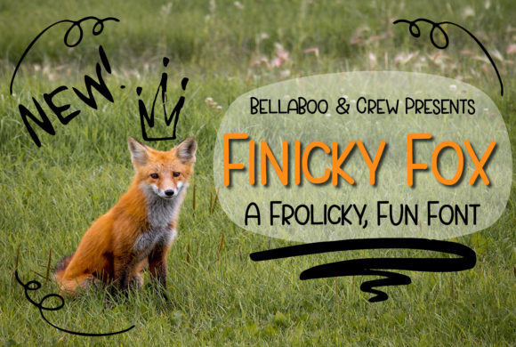 Finicky Fox: A Frolicky Sans Serif Font for Playful Branding
