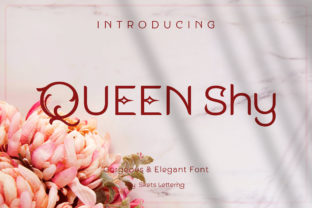 Queen Shy Typeface Review: Luxury Sans Serif for Brand Identity