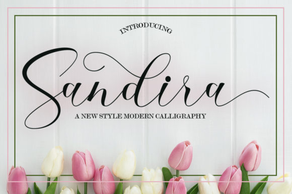 Sandira Script Review: Elegant Design & Free Download Guide