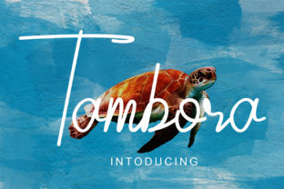 Tambora: The Stunning Script Font for Standout Branding